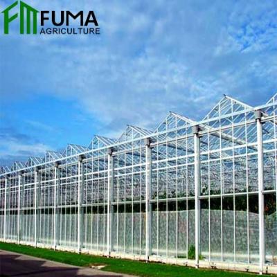 중국 Different kinds of full glass greenhouse hydroponic system FUMA cheap glass greenhouse hot on sale 판매용