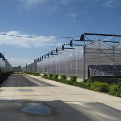 China Vegetable Roof Miniature Greenhouse Venlo Glass Panels For Prefab Glass Greenhouse Greenhouse for sale