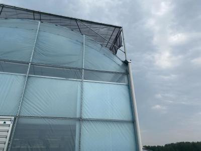 중국 Fruits Flowers FUMA Steel Frame Glass Greenhouse Multi Span Vegetable Hot Galvanized Glass Greenhouse 판매용