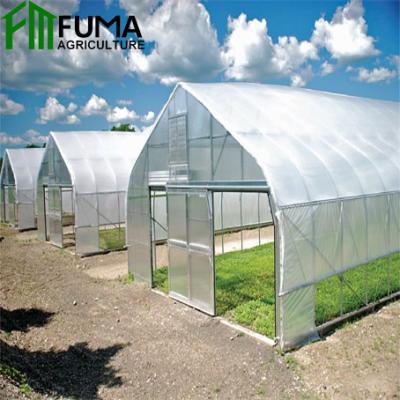 China Flower/vegetal glowing & Poultry farm FUMA blackout agricultura greenhouse with hydroponic tunnel greenhouse for sale for sale