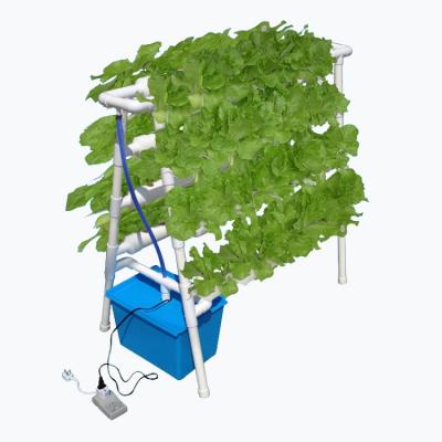 China Lettuce and Salad Plant Supply Growing Hydroponics System Indoor Growing System for sale