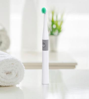 China 1.5V Battery Electric Toothbrush Replaceable Replaceable Battery Head Brush Electric Toothbrush for sale