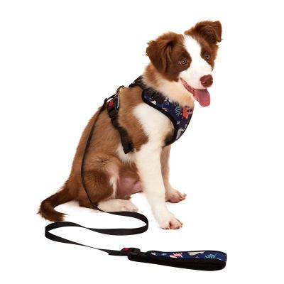 China Professional Manufacturer Wholesale Multicolor Adjustable Custom Dog Custom Dog Harness for sale