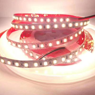 China Factory direct sale cheap price DC12v Christmas LED low voltage led strip light for sale for sale