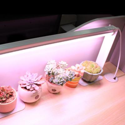 China Seed Starting Pan American Bar 800w 1200w Led Grow Light Spectrum Strip Lm301b Led Plant Light For Indoor Plants for sale