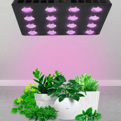 China Seed Starting Sunlight 2021 1000W 600W 800W 480W Led To Grow Light Lm301b To Grow Lights for sale