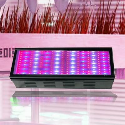 China Seed Starting USA Horticulture Indoor Garden Stock Hydroponic Spectrum Full Waterproof Cheap Grow Lights Led Grow Light For Indoor Plants for sale