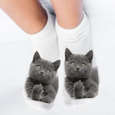 China Factory Wholesale Breathable Shorts Socks Cute Funny Kitten Unisex Creative Colorful Multiple Cat Face Happy Low Ankle Cartoon Socks for sale