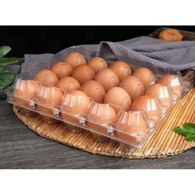 China Degradable Disposable Plastic Egg Tray Packing 4x5 20 Blister Egg Boxes Egg Tray Customized Food Plastic Egg Tray for sale