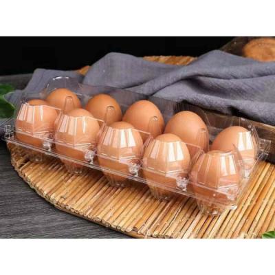 China Transparent Rectangular Plastic Carton Tray Packaging Quail Egg Blister Egg Boxes 10 Holes PVC PET Blister Eggs for sale