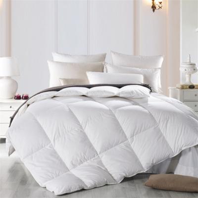 China Home Goose Duck Feathers Down Comforter Hotel Comforter for All Season Luxury Hotel for sale