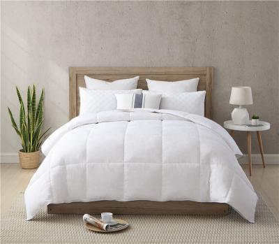 China Disposable Size 300gsm Polyester Duck Feather Fabric White Duvet Feather Twin GAGA04 Comforter Passage for sale