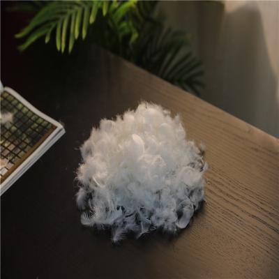 China White Filling Duck Feather Comforter 4-6cm Filling Natural Lightweight Filling Material for sale