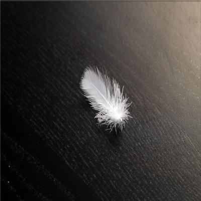 China Natural Material Filling Cushion Feather Filling Quilt Filling 2-4cm White Duck Feather for sale