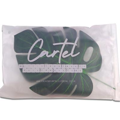 China Low Moq Reusable Transparent Zipper Bag Eco - Friendly BIODEGRADABLE for sale