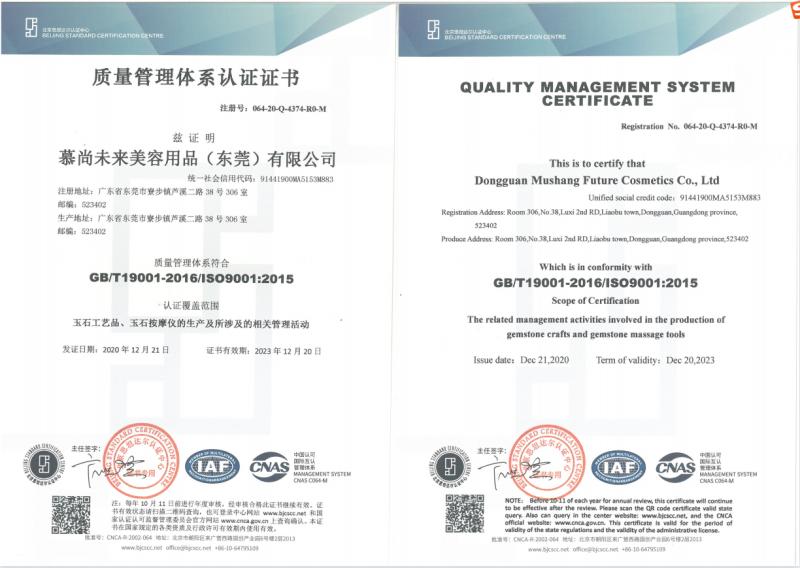 ISO9001 - Dongguan Mushang Future Cosmetics Co., Ltd.