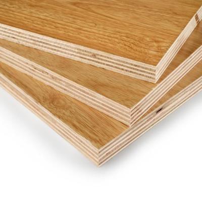 China Factory Direct Sale 18mm Modern Film Veneer Construction Plywood for sale