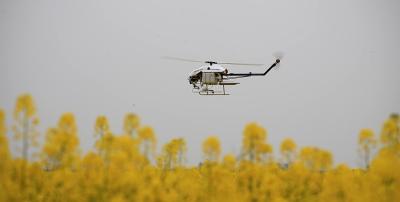 China Helicopter Spray Systems Agriculture 1 35KG Take - off Weight Unmanned Aerial Vehicle for sale