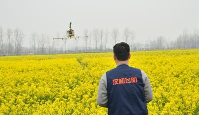 China De Breedte van de de Systemennevel van de helikopternevel 5,5 de Semi AutoVluchtleiding van de Meternuttige lading 15KG Te koop