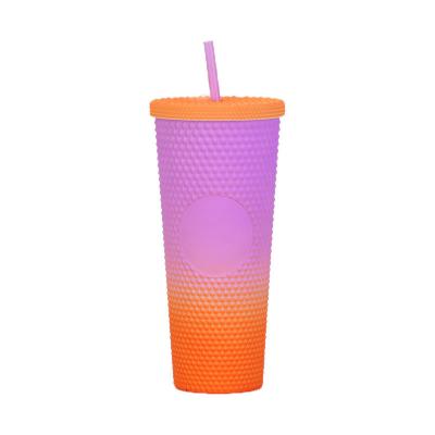 China Collections Tumbler With Lid And Straw Insulated Double-Wall Acrylic Cup for sale