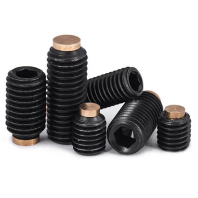 China Grade 8.8 M4 M6*30mm Allen Hex Socket Brass Worm Steel Black Galvanized Worm Screw for sale