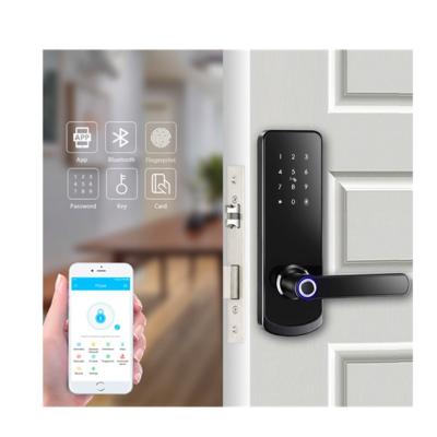 China TTLock Biometric Commercial Keypad Door Smart Ble Digital Smartphone Fingerprint Lock for sale