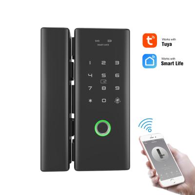 China Tuya Mobile Smart Wireless Electronic Zigbee WiFi Fingerprint Apartment App Control Smart Lock for Records Home Villa for sale