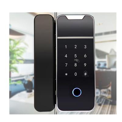 China TTLock TTLock APP BLE APP Biometric Fingerprint Glass Door Lock for Office for sale