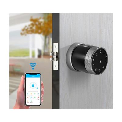 China Aluminum Alloy Smart Code Card Access Security Electronic Biometric Fingerprint Smart Lock For Home for sale