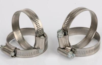 China Pipe Stainless Worm Gear Hose Clamp With Riveted Housing Smooth Surface for sale