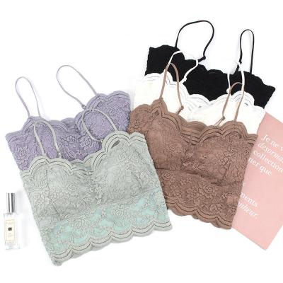 China One-piece Hot Girls Lace Bra Sexy Tube Top Comfortable Breathable Gathering Seamless Beauty Strap Bra for sale