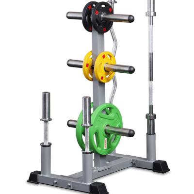 China Corrosion Protection Barbell Rack Weight Dish Storage Tree Rack Barbell Bar Rack Organizer Weight Lifting Dumbbell Rack for sale