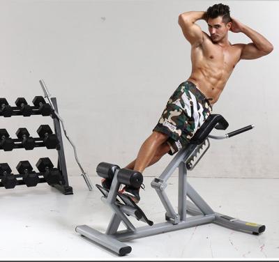 China Modern Home Roman Chair Bench Fitness Equipment Lift Up Waist Abdomen Machine Back Muscle Trainer Dumbbell Bench for sale