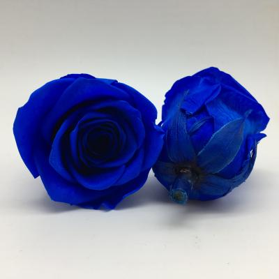 China Wholesale durable 4-5 cm home decoration preserved fresh roses from Kunming, Yunnan for sale