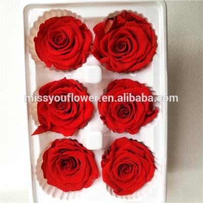 China Home Decoration Wholesale Preserved Fresh Roses Eternal Roseheads for sale