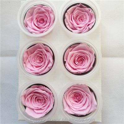 China Home rose color supply factory decoration eternal roses preserved fresh rose flowers for wedding decoration for sale