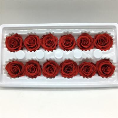 China Wholesale home decoration 3-4cm preserved fresh roses bloom long lasting red color roses for wedding flowers on sale for sale