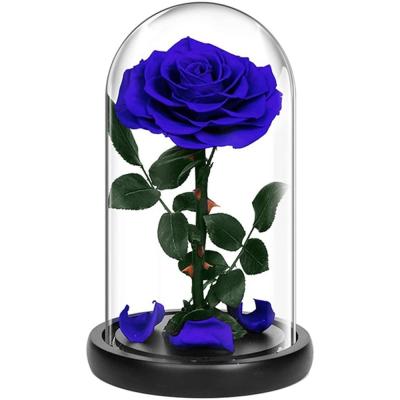 China 2021 Luxury Wedding Party Gifts Valentines Day Glass Dome Enchanted Forever Preserved Roses In The Glass Dome for sale