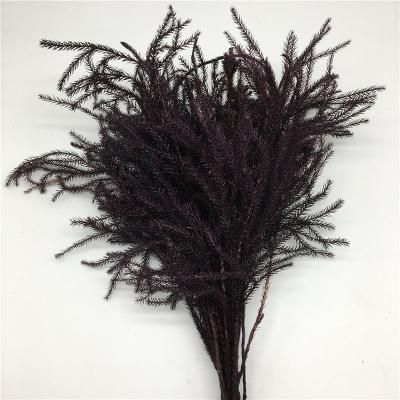 China Home Decoration Dry Flower Purple Color Preserved Club Moss Flower On Sale From Yunnan for sale