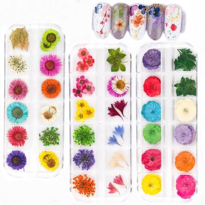 China Easy Apply Running Nail Art Dried Flower Japanese Nail Art Decoration LZ 50boxes 3D Lace Flower Hydrangea for sale