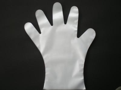 China PE disposable glove, PE gloves for sale