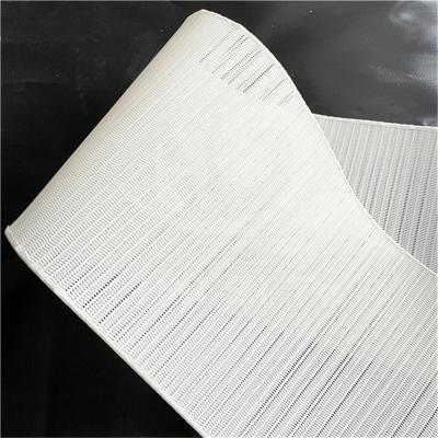 China Paper Mill Industry Polyester Conveyor Belt Polyester Spiral Dryer Cloth Mesh Belt Polyester Spiral Filter Belt for sale