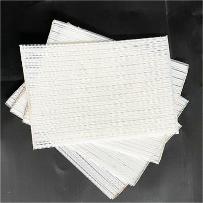 China Paper Mill Industry 100% Polyester Spiral Dryer Cloth Conveyor Belts Polyester Spiral Press Belt for sale