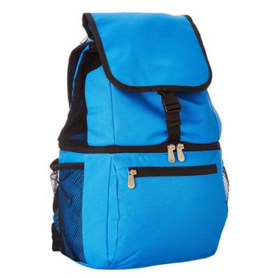 Κίνα 20 μπορέστε μονωμένο πιό δροσερό Backpack με τις διαιρεμένες τσέπες τμημάτων/Zippered προς πώληση