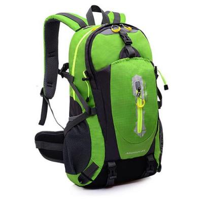 China Las mochilas que caminaban al aire libre verdes de nylon de Ripstop bordaron el logotipo con la cremallera invisible en venta