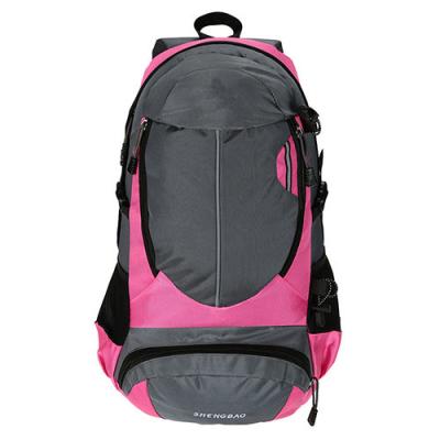 China Mochilas que caminan al aire libre de las tiras dobles/bolso que sube con los bolsillos multi en venta