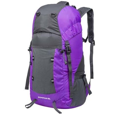 China Purple Nylon Camping Hiking Backpack Outdoor Travel Bag With Sternum Strap for sale