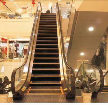 China Subway.airport.shopping center JFUJI brand indoor/outdoor commercial escalator for sale