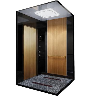 China Home Elevator Fuji China Factory Small Home Small Home Elevator 320KG 2 Straight Stops 4 People for sale