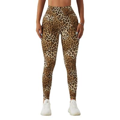 China Sexy leopard print of Nylon+spandex yoga fitness seamless high waist yoga panties leggings for women for sale